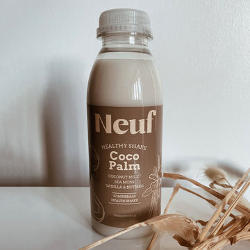 Coco Palm
